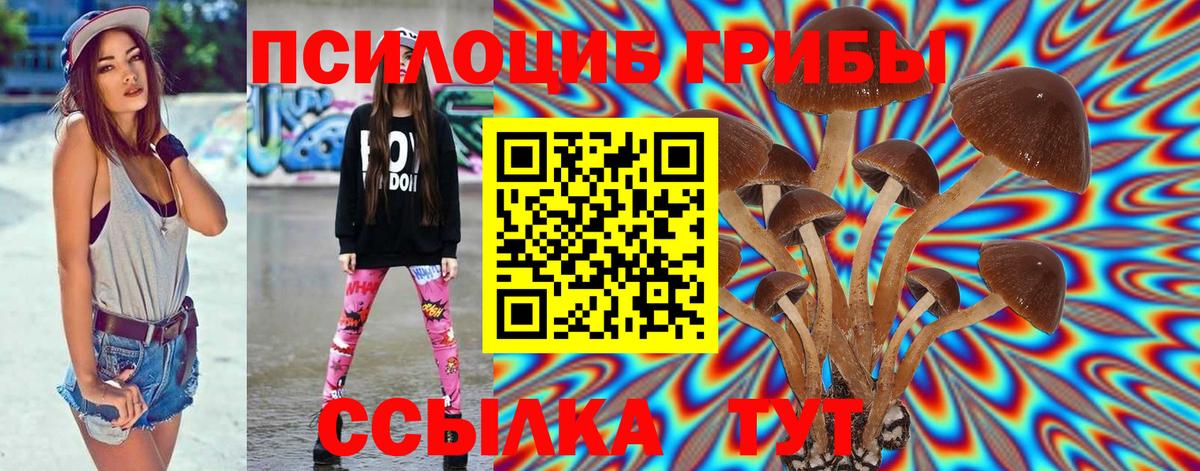 Галлюциногенные грибы мицелий Фурманов